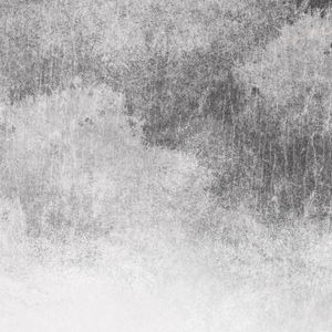 专干老熟女300部-
