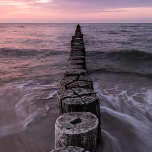 专干老熟女300部-
